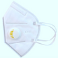 Dust filter N95