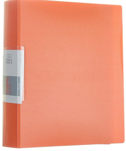 folder 100 p